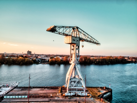 nantes-Grey-Crane_0090-Web.jpeg